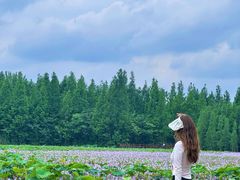 -白鹭湾湿地公园