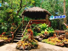 -绿光森林餐厅