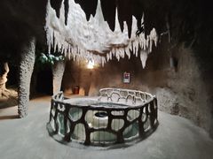 -南山植物园