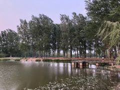 -东郊湿地公园
