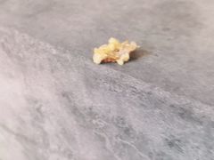 -肖炮现炸酥肉(解放碑店)
