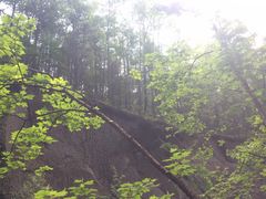 -峡谷浮石林景区