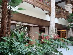 -太湖饭店玉兰厅(自助餐厅)