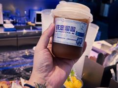 -TD66高山铁皮石斛养生茶饮