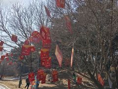 -沈阳植物园