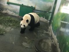 -无锡动物园·太湖欢乐园