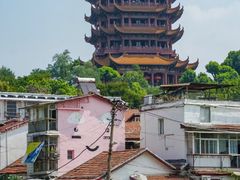 -李掌柜土菜馆(沔中店)