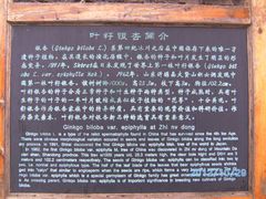 -牛郎织女景区
