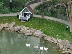 -苏州香山国际大酒店