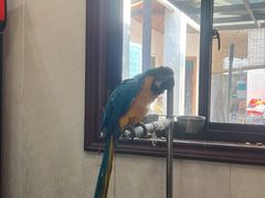 -观桥阁(锦溪店)