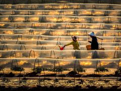 -牛街老爆肚满(朝阳门北小街店)