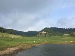 -关山草原