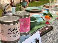 -田园东方蜜桃村的田野营地