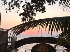 -卷心菜和避孕套餐厅(Pattaya)