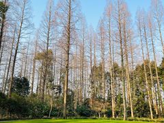 -上海怡沁园度假酒店