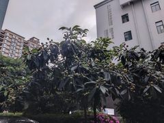 -四川大学(华西校区)