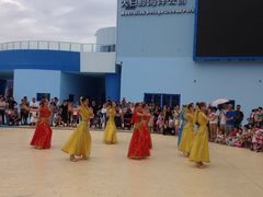 -芜湖新华联大白鲸海洋公园