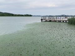 -长广溪湿地公园