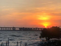 -宝安西湾红树林湿地公园