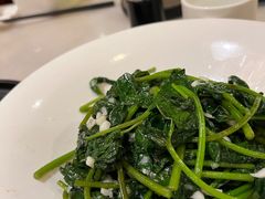 -金鼎轩(方庄天坛店)