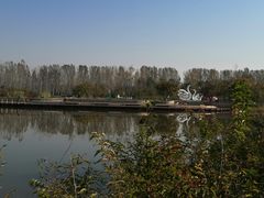 -东郊湿地公园