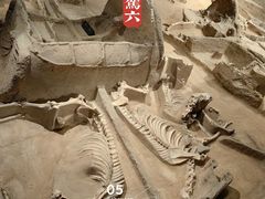 -洛阳周王城天子驾六博物馆