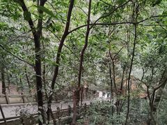 -都江堰普照寺