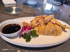 -碧丽宫大酒店(召稼楼店)