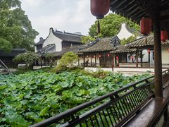 -上海醉白池公园