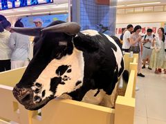 -红星前进面包牛奶公司(君太店)