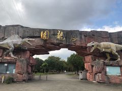 -上海海湾国家森林公园