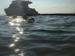 -惠州金海湾嘉华度假酒店