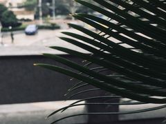 -沈坚强游泳俱乐部(武宁南路店)