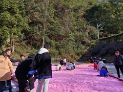-浏阳石牛寨风景区