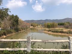 -天适樱花悠乐园