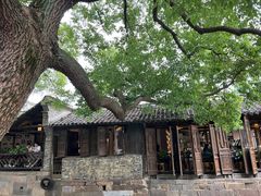 -乌镇东栅景区