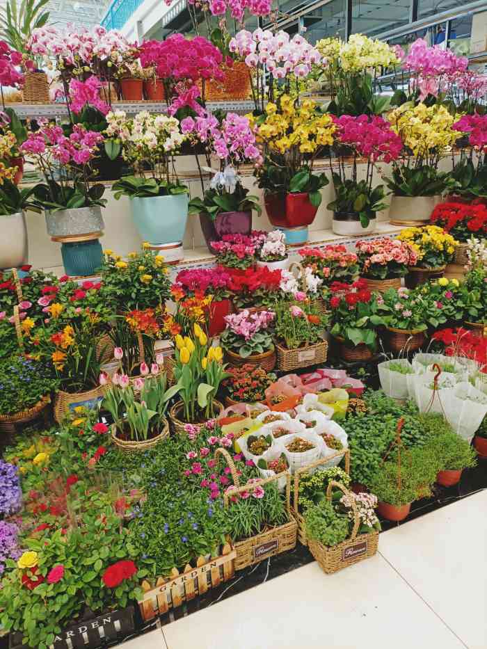 蟹岛国际花卉-"蟹岛里新开业的花卉市场,里面很宽敞,环境.