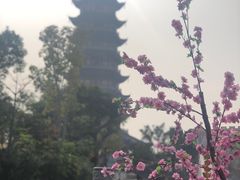 -厦门方特东方神画