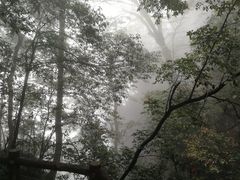 -綦江古剑山