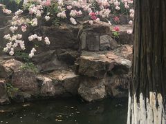 -水绘园