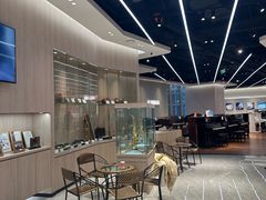 -知音艺术教育培训·钢琴培训·音乐培训(河西金鹰世界校区)