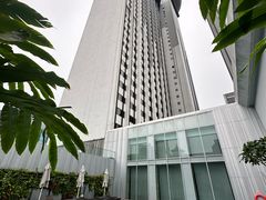 -新加坡乌节希尔顿酒店
