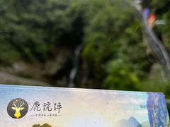 -鹿院坪生态旅游景区