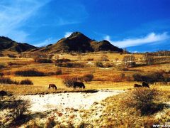 -塞罕坝国家级自然保护区