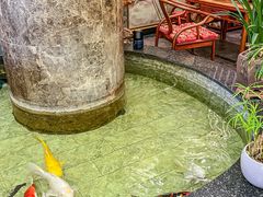 -古莲·影院足道·按摩SPA(水上温泉店)
