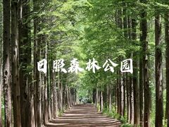 -日照海滨国家森林公园