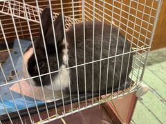 -大象厨房(重庆道店)