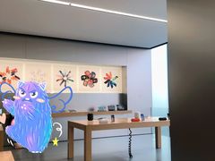 -Apple零售店(中街大悦城店)