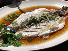 太雕酒香蒸鲥鱼-上海小南国(正大店)