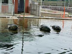 -渔岛海洋度假区